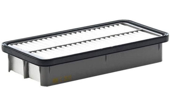 Luftfilter C 2519 Mann