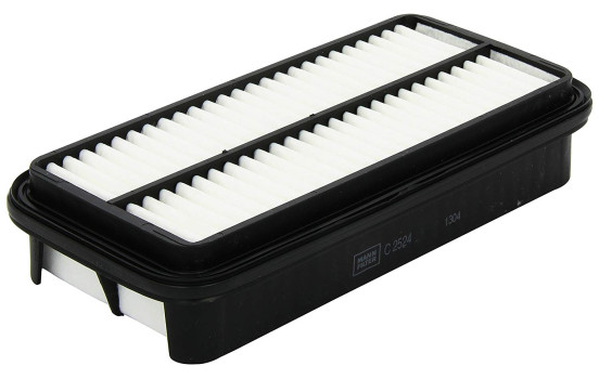 Luftfilter C 2524 Mann