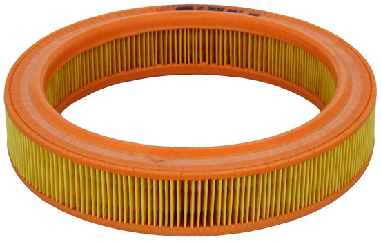 Luftfilter C 2534 Mann