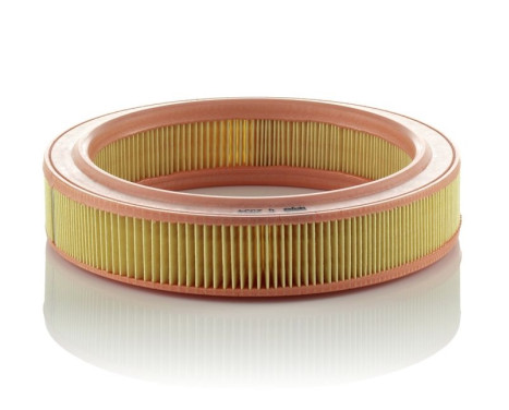 Luftfilter C 2534 Mann, bild 2
