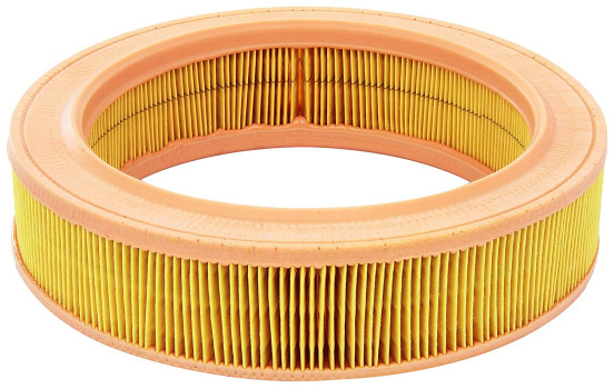 Luftfilter C 2555/2 Mann