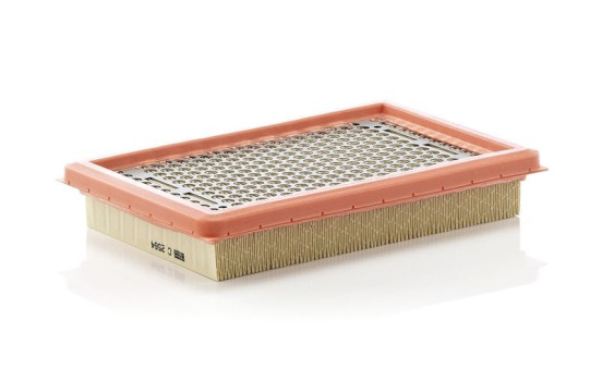 Luftfilter C 2564 Mann, bild 2