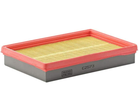 Luftfilter C 2573 Mann