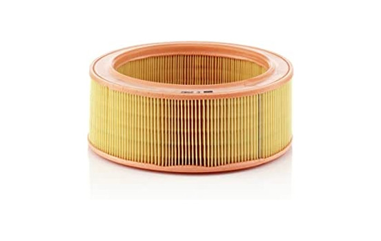 Luftfilter C 2582 Mann
