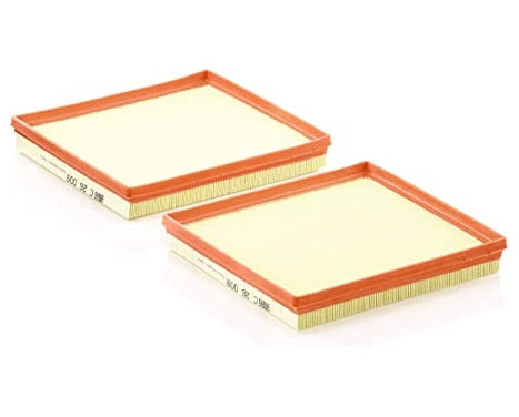 Luftfilter C 26 009-2 Mann