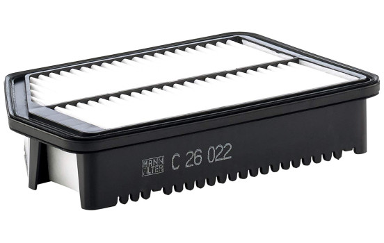 Luftfilter C 26 022 Mann