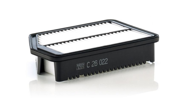 Luftfilter C 26 022 Mann, bild 2