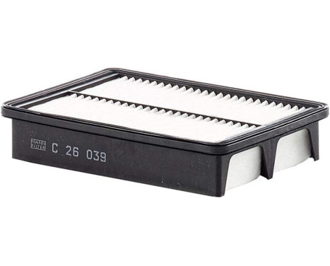 Luftfilter C 26 039 Mann