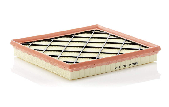 Luftfilter C 26 106 Mann