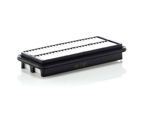 Luftfilter C 2617 Mann, bild 2