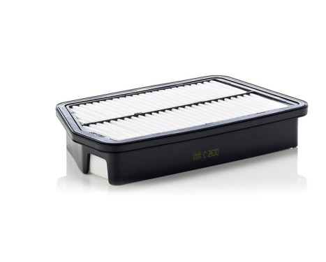 Luftfilter C 2630 Mann, bild 2