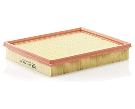 Luftfilter C 2696 Mann