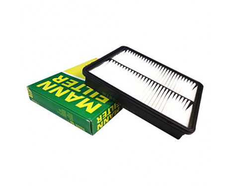 Luftfilter C 28 010 Mann