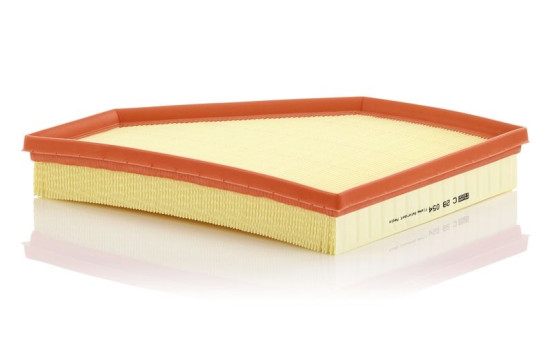 Luftfilter C 28 054 Mann