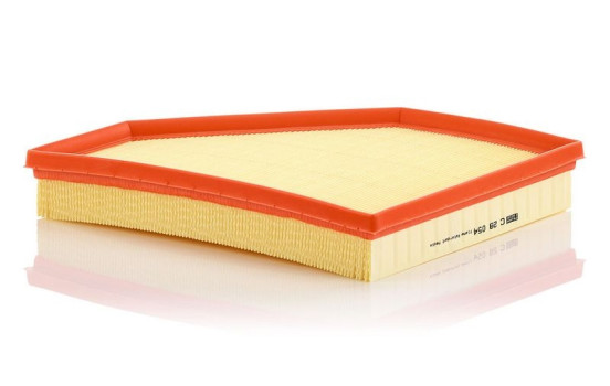 Luftfilter C 28 054 Mann