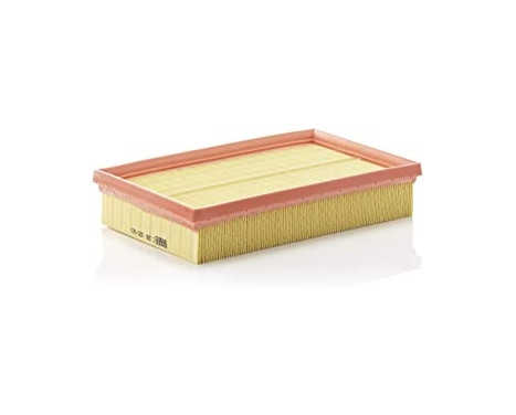 Luftfilter C 28 105 Mann