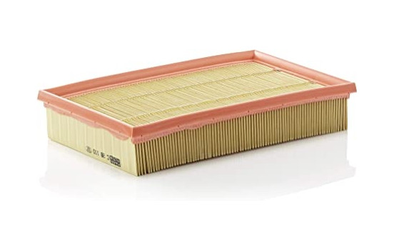 Luftfilter C 28 110 Mann