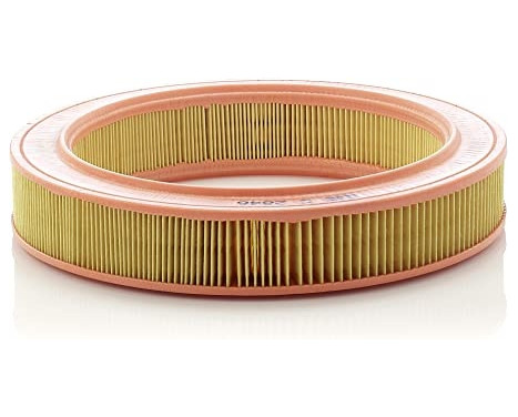 Luftfilter C 2846 Mann