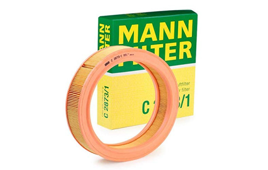 Luftfilter C 2873/1 Mann