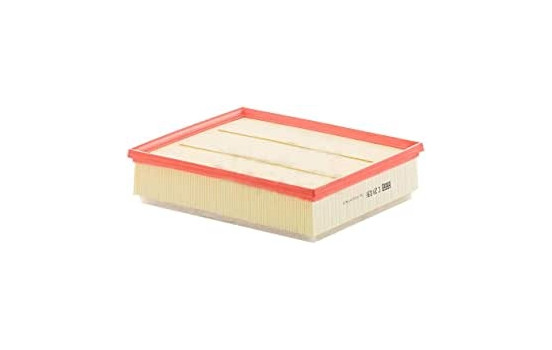 Luftfilter C 29 036 Mann
