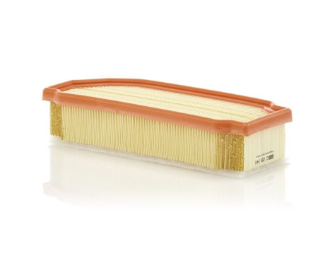 Luftfilter C 29 041 Mann