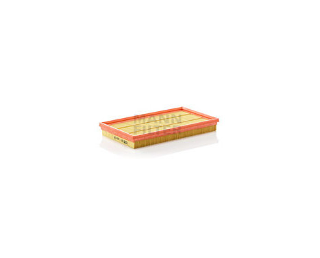 Luftfilter C 2974 Mann