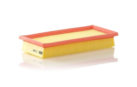 Luftfilter C 2981 MANN-FILTER, bild 2