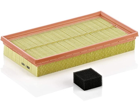 Luftfilter C 2982 KIT Mann
