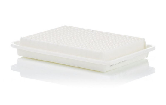 Luftfilter C 30 009 MANN-FILTER, bild 2
