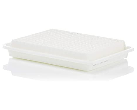 Luftfilter C 30 009 Mann