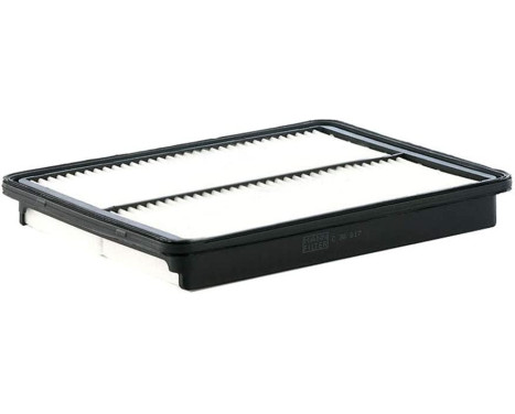 Luftfilter C 30 017 Mann