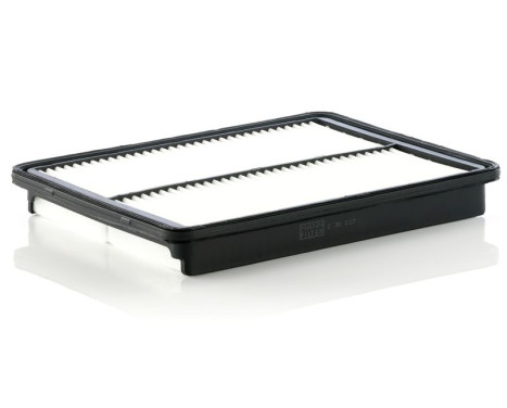 Luftfilter C 30 017 Mann, bild 2