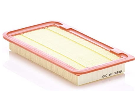 Luftfilter C 30 020 Mann