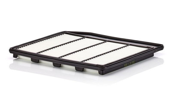 Luftfilter C 30 080 Mann