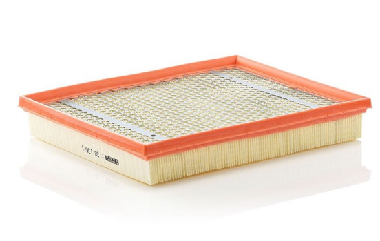Luftfilter C 30 130/1 Mann, bild 2