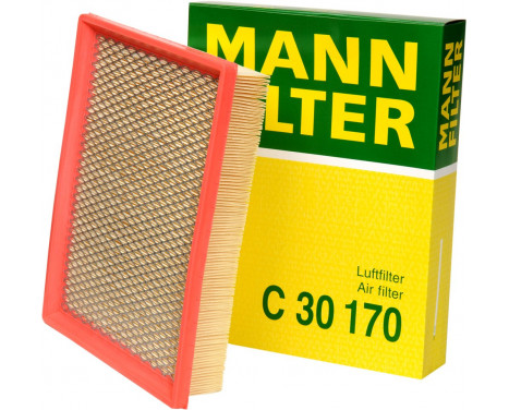 Luftfilter C 30 170 Mann