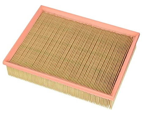 Luftfilter C 30 198 Mann