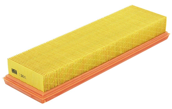 Luftfilter C 3042/1 Mann