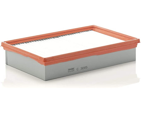 Luftfilter C 3065 Mann