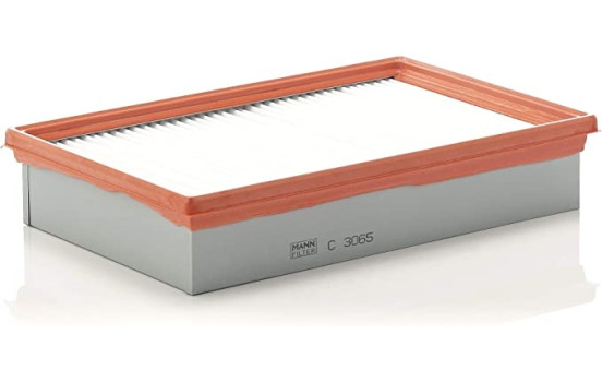 Luftfilter C 3065 Mann