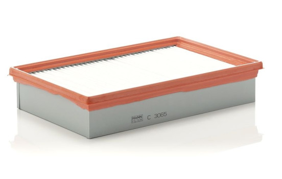 Luftfilter C 3065 Mann, bild 2