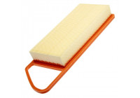 Luftfilter C 3087/2 MANN-FILTER