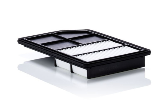 Luftfilter C 31 038 Mann