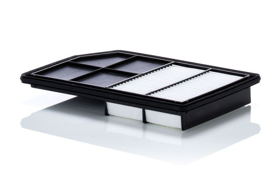 Luftfilter C 31 038 Mann