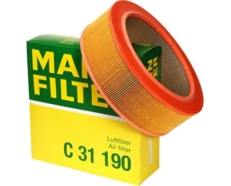 Luftfilter C 31 190 Mann