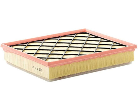 Luftfilter C 33 001 Mann