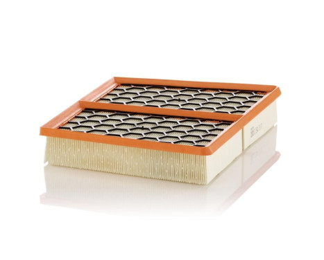 Luftfilter C 34 017 Mann