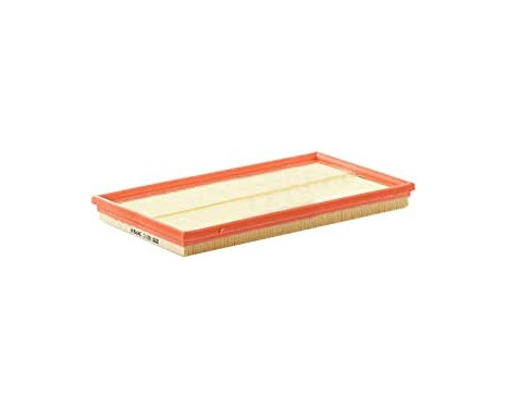 Luftfilter C 3479 Mann