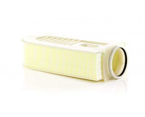 Luftfilter C 35 003 Mann