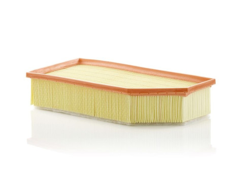 Luftfilter C 36 030 Mann, bild 2